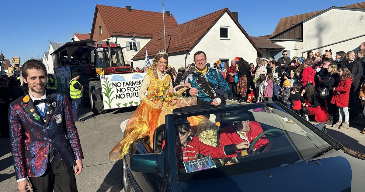 Bilder vom Faschingsumzug