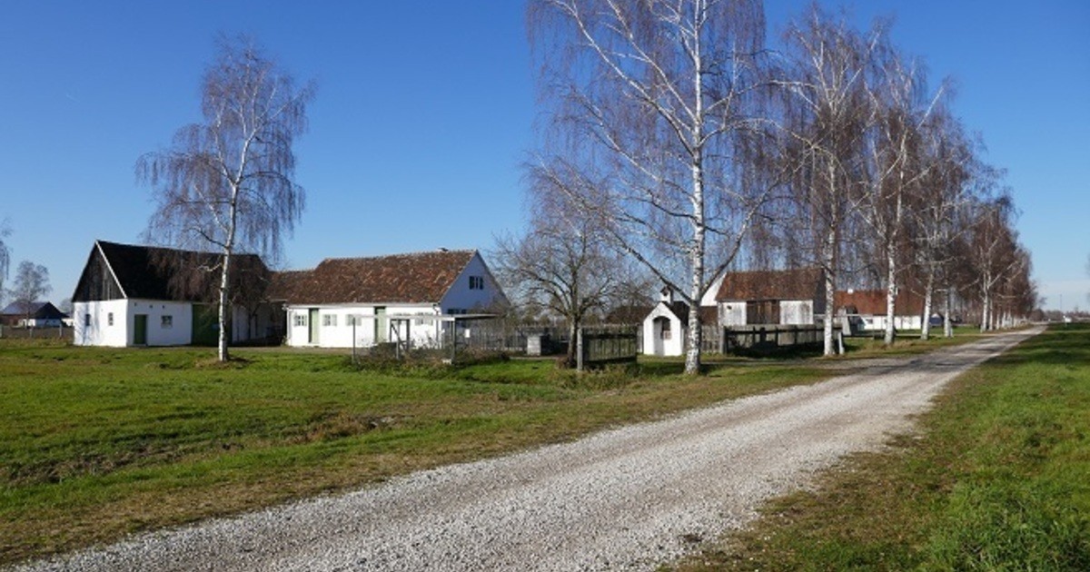 25 Jahre Haus im Moos