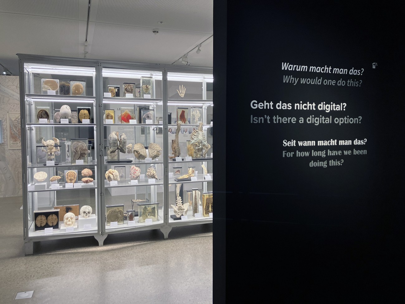 © Foto: Marion Ruisinger