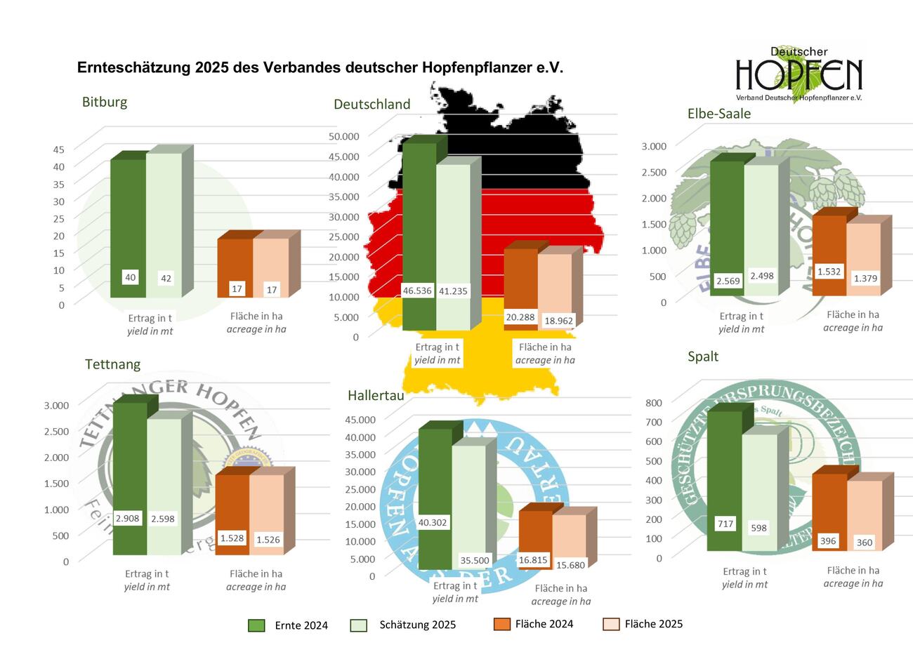 © Foto: Hopfenpflanzerverband