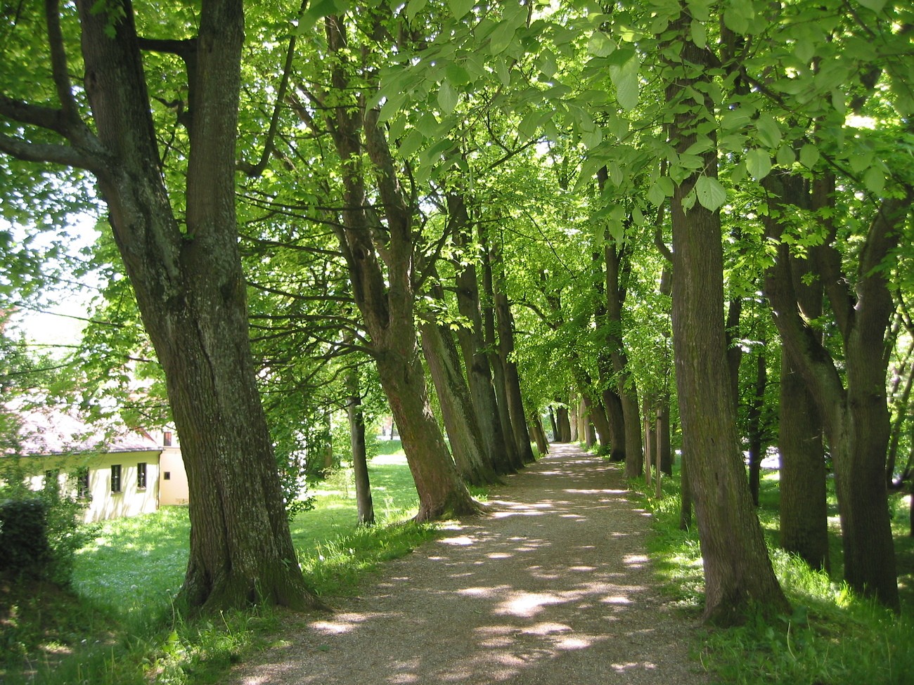© Foto: Kulturamt Schrobenhausen