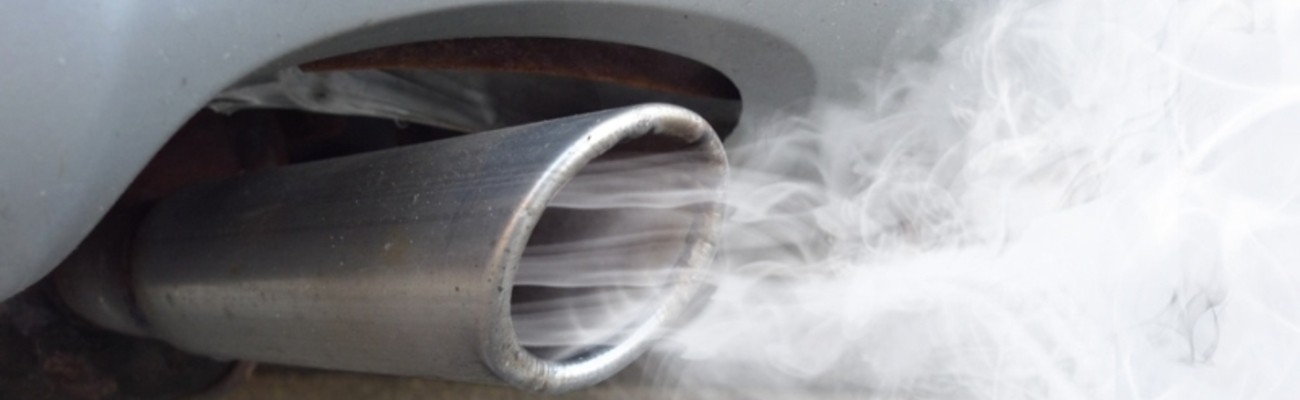 &copy; foto: Fotohansel