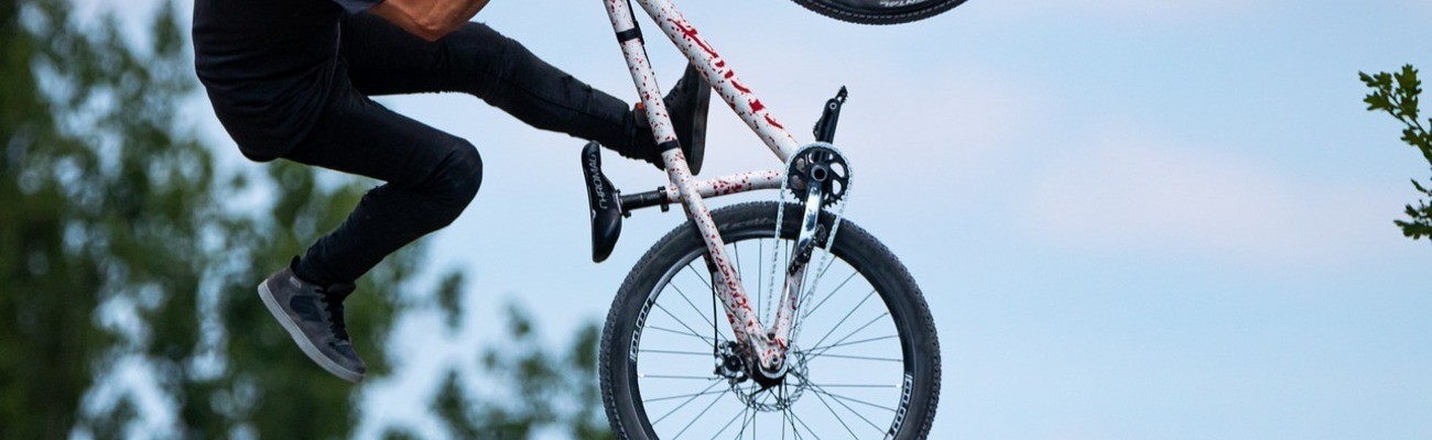 &copy; Foto: Nico Franz auf pixabay