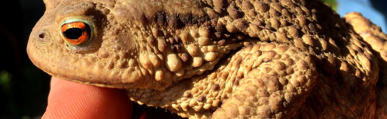 &copy; Foto: Anne Fr&ouml;hlich/ LRA EI