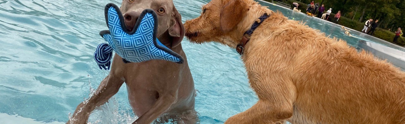 &copy; Foto: Stadtwerke Pfaffenhofen