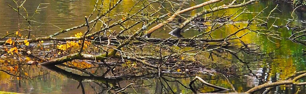 &copy; Foto: Stadt Ingolstadt/ Kleine