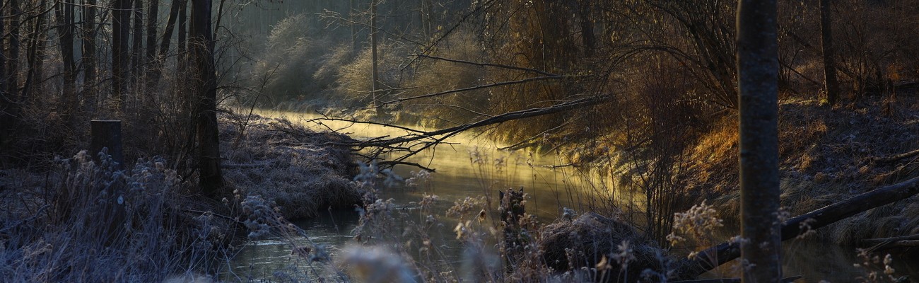 © Foto: Axel Mölkner-Kappl