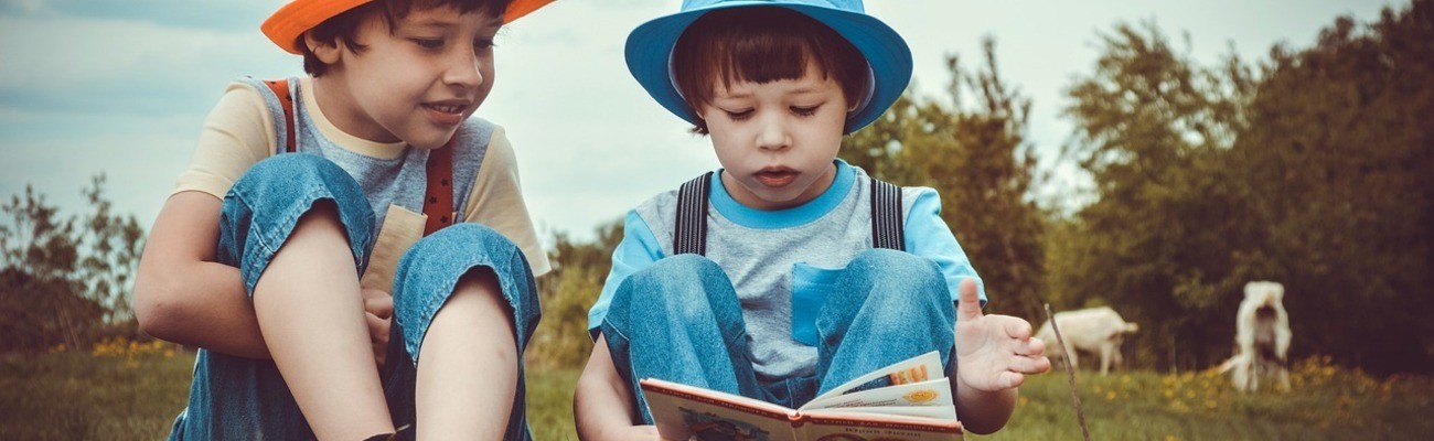 © Foto: Victoria auf pixabay