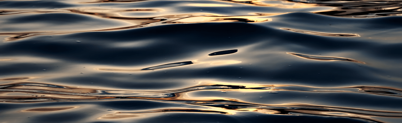 © Foto: Maab Hasan auf pixabay