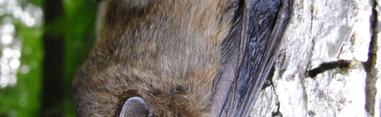 &copy; Foto: Andreas Zahn