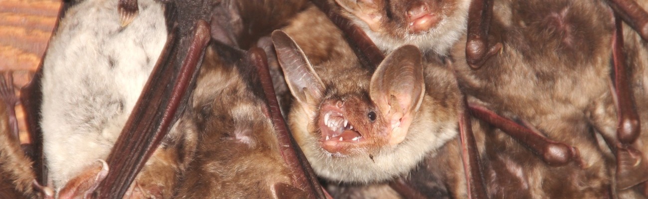 © Foto: Andreas Zahn