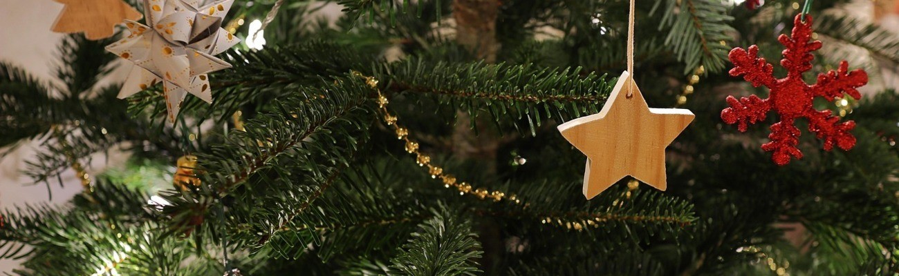 © Foto: Felix auf pixabay