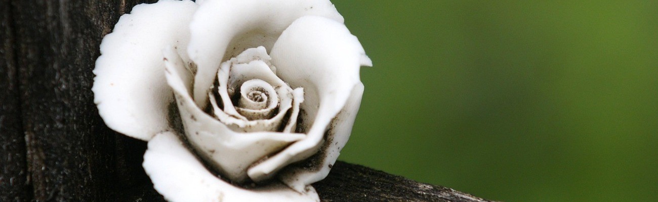 © Foto: Erich Röthlisberger auf pixabay