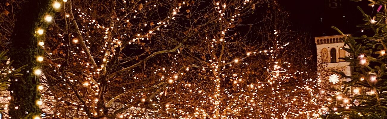 © Foto: A.Lederer/ Stadt PAF