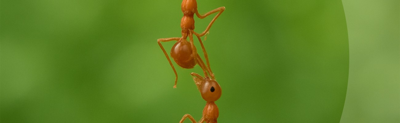 © Foto: VHS PAF / Michel Hagn