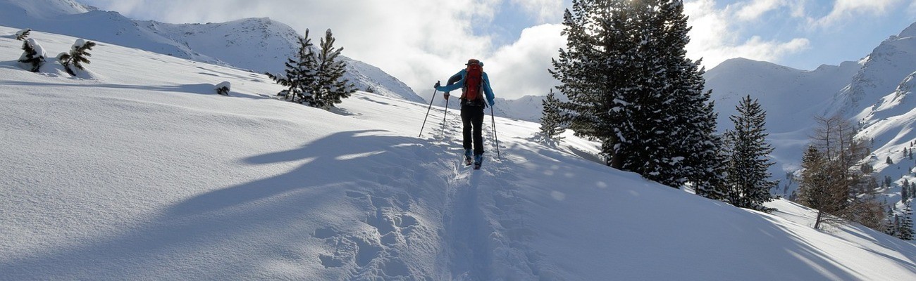 © Foto: Tom auf Pixabay