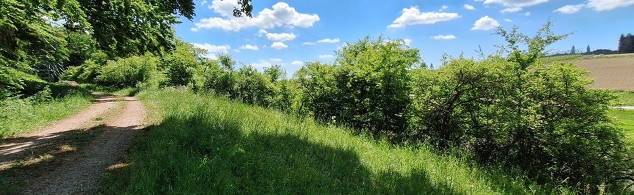 &copy; Foto: Magdalena Hecker/ Landschaftspflegeverband