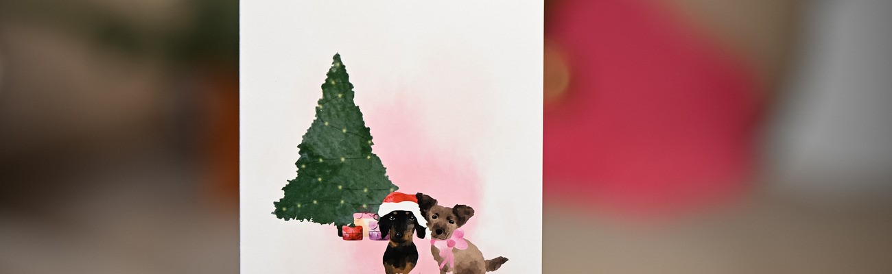 &copy; &copy; UNICEF/UNI895459/Sachse-Grimm