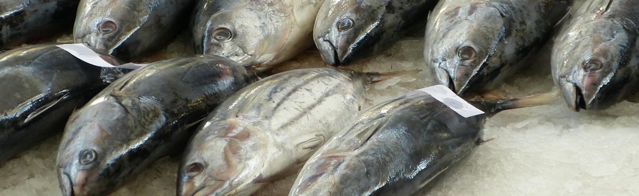 &copy; Foto: Alfred Koop auf pixabay