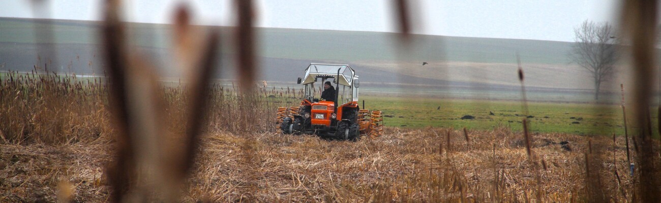 &copy; Foto: Stefan Janda/Donaumoos-Zweckverband