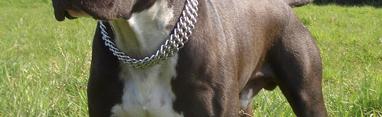 &copy; Foto: Tatanga 2006@WikimediaCommons