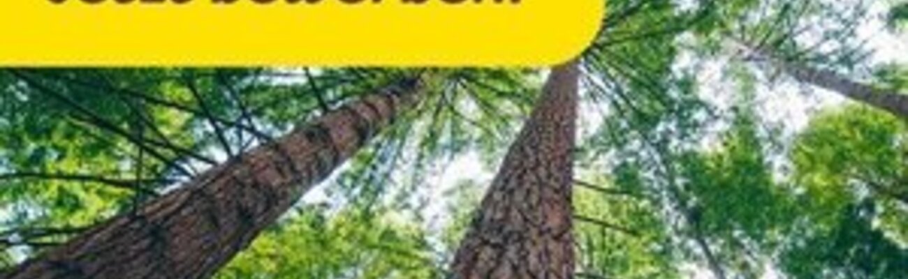 &copy; Foto: Bayernwerk Netz GmbH