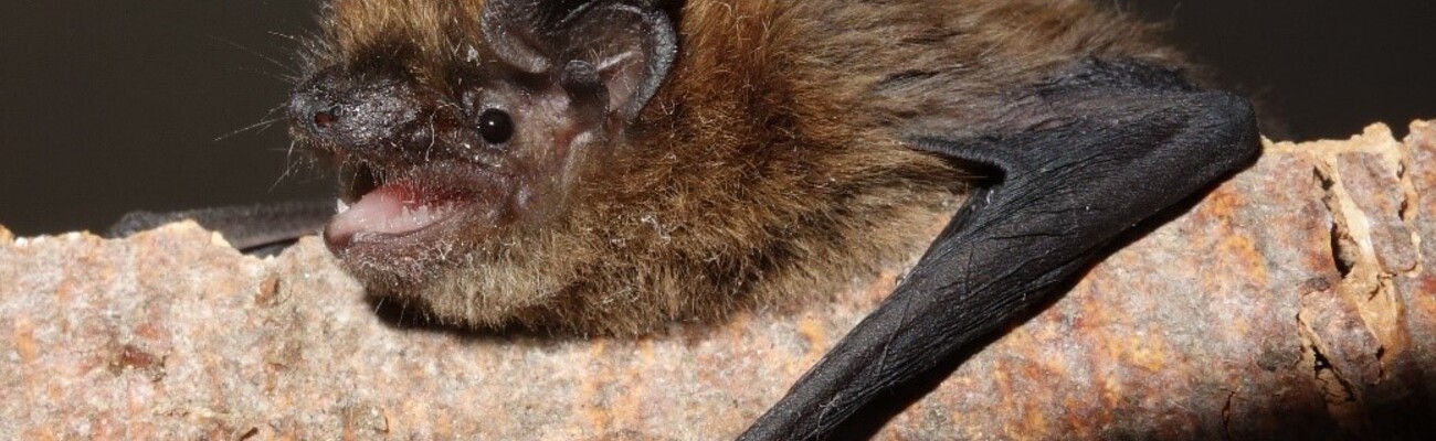 &copy; Foto: LRA / Andreas Zahn