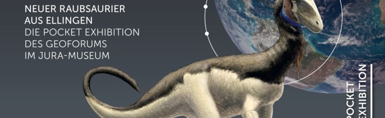 &copy; Foto: Juramuseum Willibaldsburg Eichst&auml;tt/ Ifrim