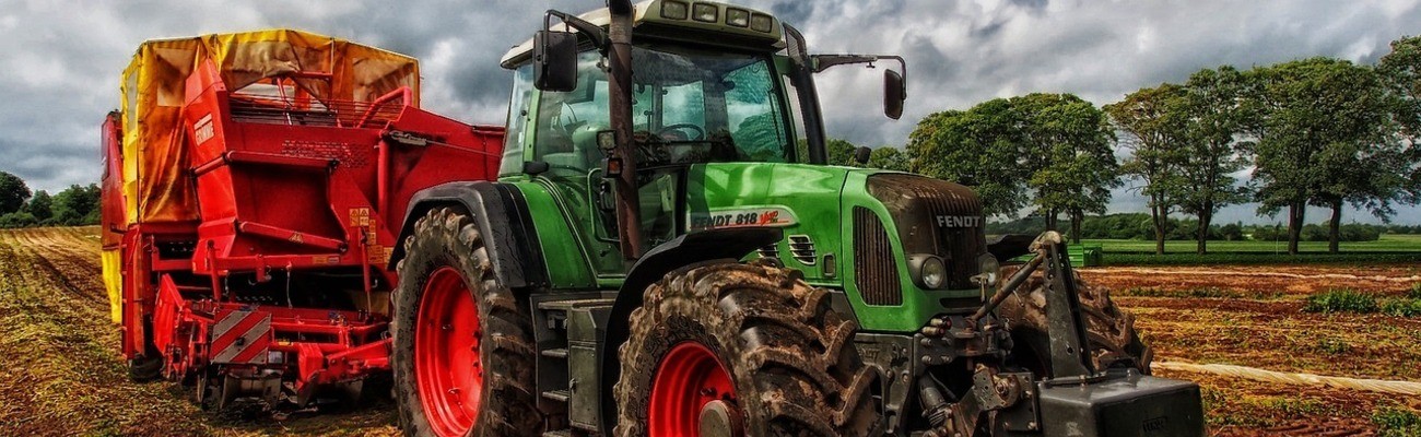 &copy; Foto: 12019 auf pixabay