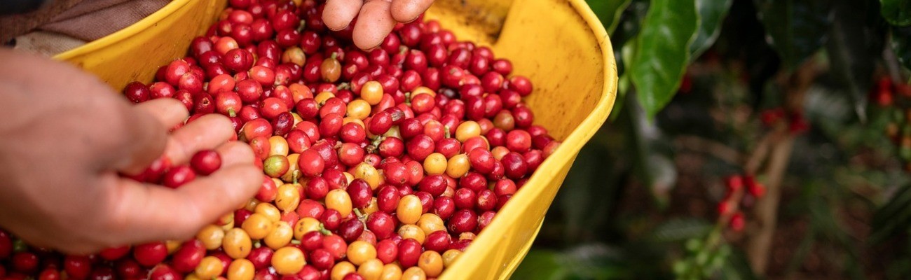 &copy; Foto: Leonel Barreto auf pixabay