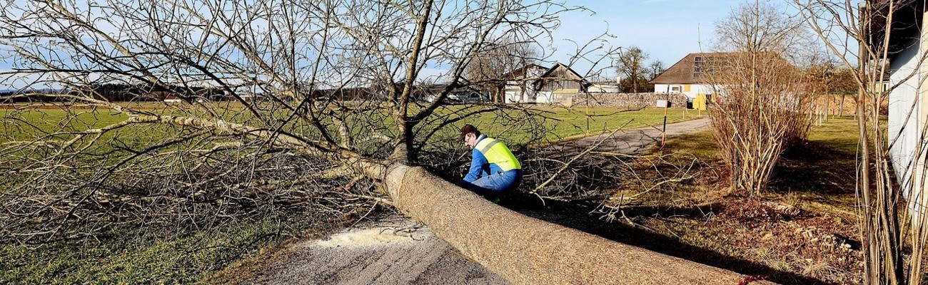 &copy; Foto: Franz W auf pixabay