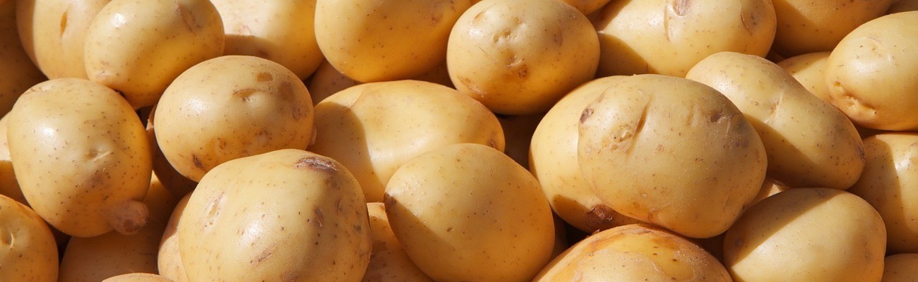 &copy; Foto: wang dong auf pixabay