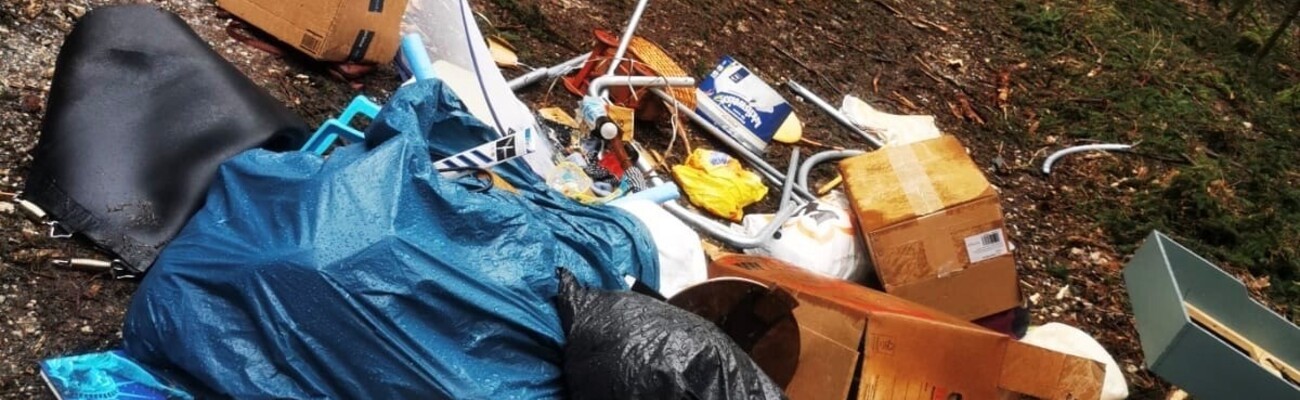 &copy; Foto: Andreas Naumann/ Forstamt Ingolstadt