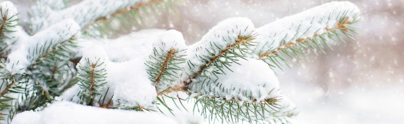 &copy; Foto: Jill Wellington auf pixabay