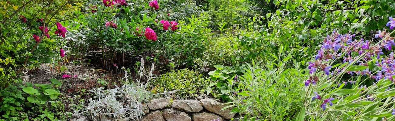 &copy; Foto: Birgit Kroneisl