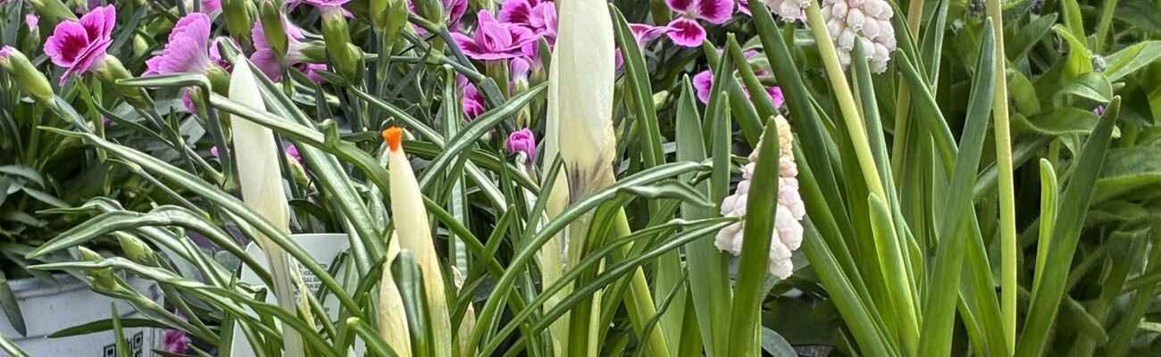 &copy; Foto: Lebenshilfe Bayern Mitte