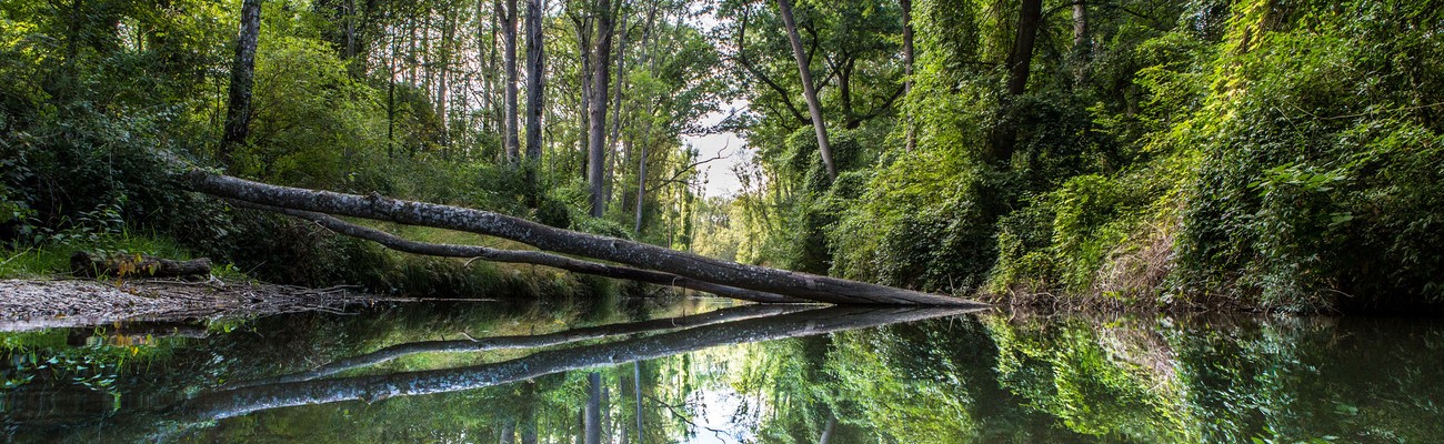 &copy; upd/Christian Klenk